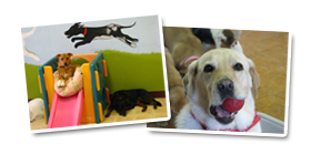 Daycare